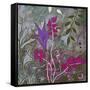 Fuchsia Nights-Ruth Palmer-Framed Stretched Canvas