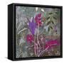 Fuchsia Nights-Ruth Palmer-Framed Stretched Canvas