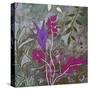 Fuchsia Nights-Ruth Palmer-Stretched Canvas