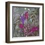 Fuchsia Nights-Ruth Palmer-Framed Art Print