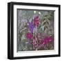 Fuchsia Nights-Ruth Palmer-Framed Art Print