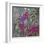 Fuchsia Nights-Ruth Palmer-Framed Art Print