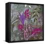 Fuchsia Nights-Ruth Palmer-Framed Stretched Canvas