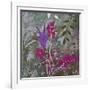 Fuchsia Nights-Ruth Palmer-Framed Art Print