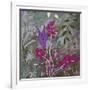 Fuchsia Nights-Ruth Palmer-Framed Art Print