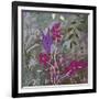 Fuchsia Nights-Ruth Palmer-Framed Art Print