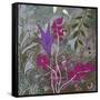 Fuchsia Nights-Ruth Palmer-Framed Stretched Canvas