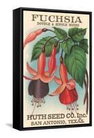 Fuchsia Seed Packet-null-Framed Stretched Canvas