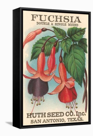 Fuchsia Seed Packet-null-Framed Stretched Canvas