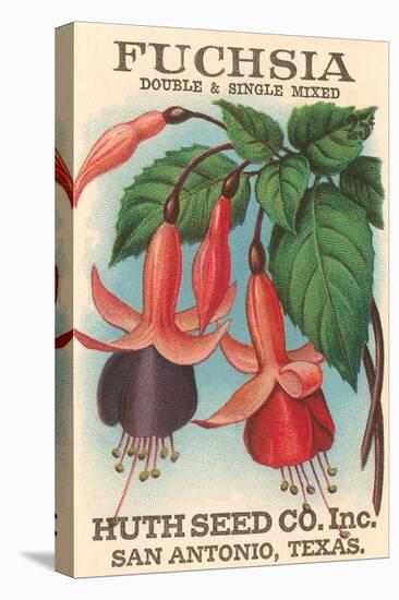 Fuchsia Seed Packet-null-Stretched Canvas