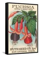 Fuchsia Seed Packet-null-Framed Stretched Canvas