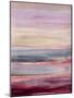 Fuchsia Sunrise 3-Jeannie Sellmer-Mounted Art Print