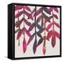 Fuchsia Vine I-Chariklia Zarris-Framed Stretched Canvas
