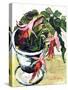 Fuchsias-Joan Thewsey-Stretched Canvas