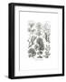 Fucoideae, 1899-1904-null-Framed Giclee Print