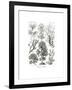 Fucoideae, 1899-1904-null-Framed Giclee Print