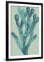 Fucus vesiculosus - Ocean-Maria Mendez-Framed Giclee Print