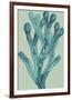 Fucus vesiculosus - Ocean-Maria Mendez-Framed Giclee Print