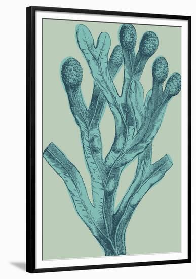 Fucus vesiculosus - Ocean-Maria Mendez-Framed Giclee Print