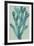 Fucus vesiculosus - Ocean-Maria Mendez-Framed Giclee Print