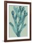 Fucus vesiculosus - Ocean-Maria Mendez-Framed Giclee Print