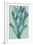 Fucus vesiculosus - Ocean-Maria Mendez-Framed Giclee Print