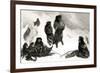 Fuegians Going to Trade in Zapallos with the Patagonians, Engraved by T.Lanseer 1838-Robert Fitzroy-Framed Giclee Print