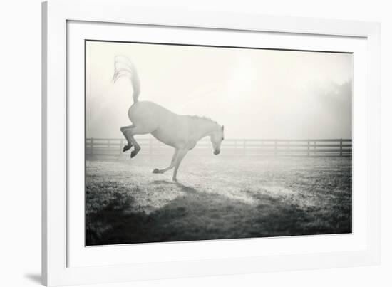 Fuego Blanco-Shana Rae-Framed Giclee Print