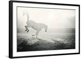 Fuego Blanco-Shana Rae-Framed Giclee Print