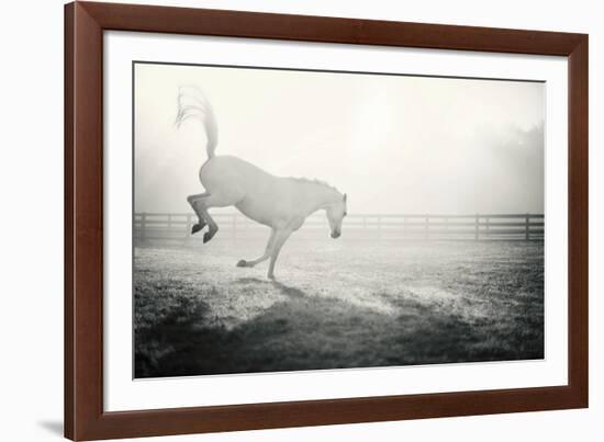 Fuego Blanco-Shana Rae-Framed Giclee Print