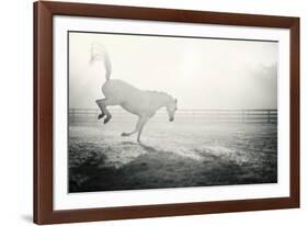 Fuego Blanco-Shana Rae-Framed Giclee Print