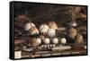 Fuel and Gas Storage Tanks at an Oil Refinery-Philip Lange-Framed Stretched Canvas