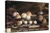 Fuel and Gas Storage Tanks at an Oil Refinery-Philip Lange-Stretched Canvas