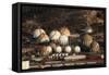 Fuel and Gas Storage Tanks at an Oil Refinery-Philip Lange-Framed Stretched Canvas