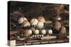 Fuel and Gas Storage Tanks at an Oil Refinery-Philip Lange-Stretched Canvas