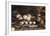 Fuel and Gas Storage Tanks at an Oil Refinery-Philip Lange-Framed Photographic Print