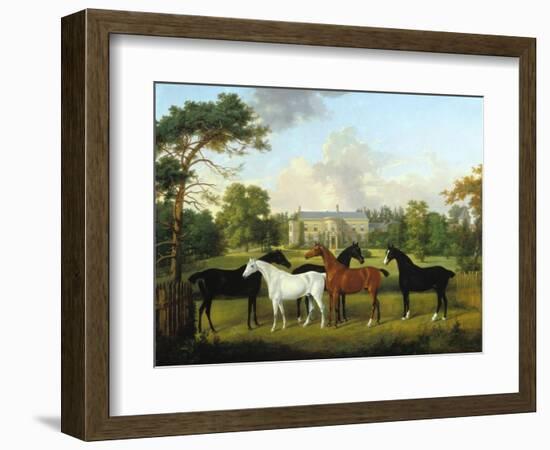 Fünf Rennpferde vor einem englischen Landhaus-null-Framed Giclee Print