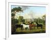 Fünf Rennpferde vor einem englischen Landhaus-null-Framed Giclee Print