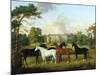 Fünf Rennpferde vor einem englischen Landhaus-null-Mounted Giclee Print
