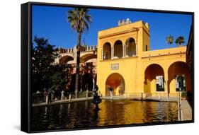 Fuente De Mercurio, Real Alcazar, Seville, Andalucia, Spain-Carlo Morucchio-Framed Stretched Canvas