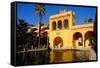 Fuente De Mercurio, Real Alcazar, Seville, Andalucia, Spain-Carlo Morucchio-Framed Stretched Canvas