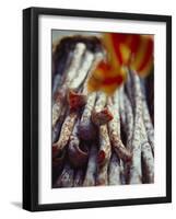 Fuet (Dried Hard Cured Sausage from Catalonia)-Richard Sprang-Framed Photographic Print