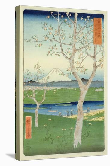 Fuji from Koshigaya, Mushashi, No.14 from the Series '36 Views of Mt. Fuji', ('Fuji Saryu Rokkei')-Ando Hiroshige-Stretched Canvas