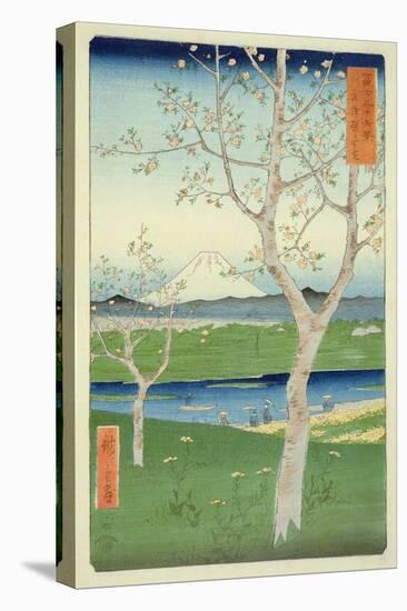 Fuji from Koshigaya, Mushashi, No.14 from the Series '36 Views of Mt. Fuji', ('Fuji Saryu Rokkei')-Ando Hiroshige-Stretched Canvas