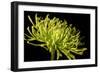 Fuji Mum III-Renee W^ Stramel-Framed Photographic Print