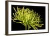 Fuji Mum III-Renee W^ Stramel-Framed Photographic Print