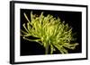 Fuji Mum III-Renee W^ Stramel-Framed Photographic Print