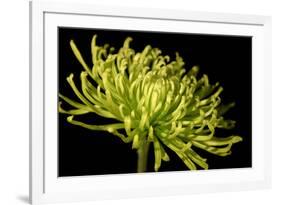 Fuji Mum III-Renee W^ Stramel-Framed Photographic Print