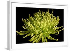 Fuji Mum IV-Renee W. Stramel-Framed Art Print