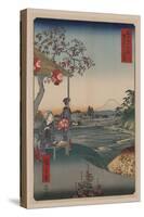 Fujimi Teahouse at Zoshigaya (Zoushigaya Fujimi Chaya)-Ando Hiroshige-Stretched Canvas